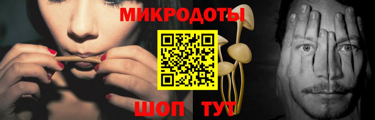 Галлюциногенные грибы Psilocybe Изобильный